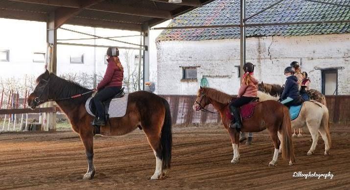 Poney Club de Buisseret ASBL: stalls and paddocks, horse boarding in Gouy-lez-Piéton - Photo 2 of 2