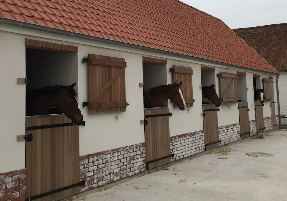 Le Clos de l'Angley - Gîtes et écurie d'étape sur la Côte d'Opale : box et paddocks, pension pour chevaux à Caffiers - Photo 2 sur 2