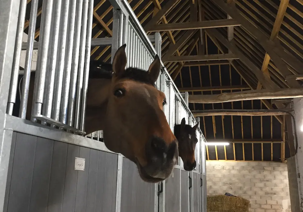 Le Clos de l'Angley - Gîtes et écurie d'étape sur la Côte d'Opale : box et paddocks, pension pour chevaux à Caffiers - Photo 1 sur 2
