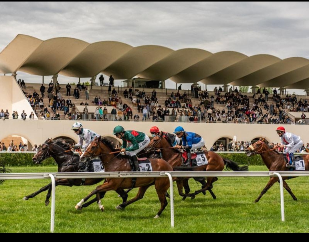 Hipódromo de la Zarzuela : box et paddocks, pension pour chevaux à Madrid - Photo 3 sur 3