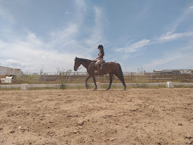 Centro Ecuestre ?El Tomillar? : box et paddocks, pension pour chevaux à Albacete - Photo 3 sur 8