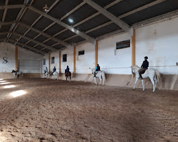 Centro Ecuestre ?El Tomillar? : box et paddocks, pension pour chevaux à Albacete - Photo 8 sur 8