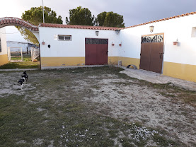 Centro Ecuestre ?El Tomillar? : box et paddocks, pension pour chevaux à Albacete - Photo 4 sur 8