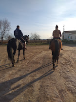 Centro Ecuestre ?El Tomillar? : box et paddocks, pension pour chevaux à Albacete - Photo 7 sur 8