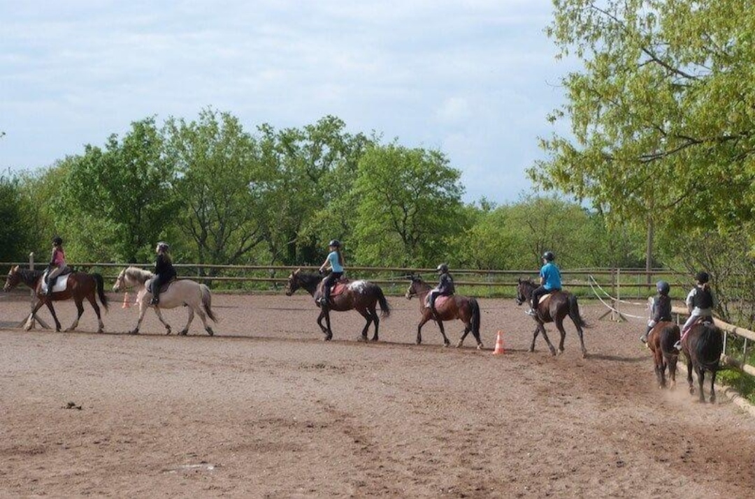 Écurie des Esses : box et paddocks, pension pour chevaux à Montréal - Photo 3 sur 3