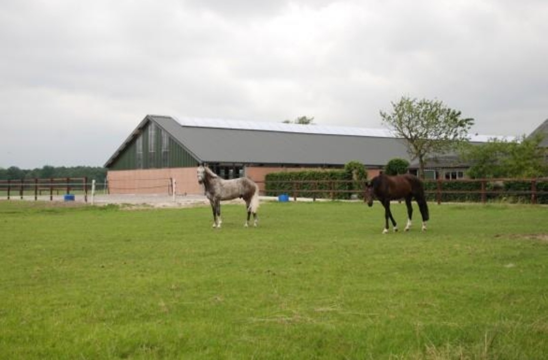 Paardenhotel Klavertje4 : box et paddocks, pension pour chevaux à Sint-Oedenrode - Photo 1 sur 3