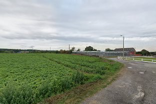 Écurie du Prélî : box et paddocks, pension pour chevaux à Gerpinnes - Photo 2 sur 7