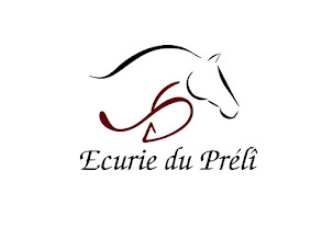 Écurie du Prélî : box et paddocks, pension pour chevaux à Gerpinnes - Photo 1 sur 7