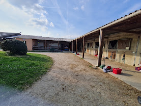 Les Écuries de l?Urous : box et paddocks, pension pour chevaux à Maisoncelles-en-Brie - Photo 1 sur 4