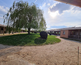 Les Écuries de l?Urous : box et paddocks, pension pour chevaux à Maisoncelles-en-Brie - Photo 4 sur 4
