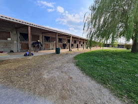 Les Écuries de l?Urous : box et paddocks, pension pour chevaux à Maisoncelles-en-Brie - Photo 2 sur 4