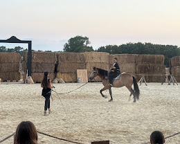 Écurie Art?Caball : box et paddocks, pension pour chevaux à Muron - Photo 7 sur 7
