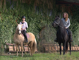 Écurie Art?Caball : box et paddocks, pension pour chevaux à Muron - Photo 2 sur 7