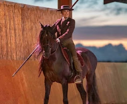 Écurie Art?Caball : box et paddocks, pension pour chevaux à Muron - Photo 5 sur 7