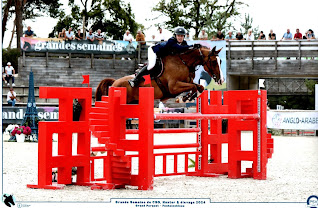 Écurie des Bruyères : box et paddocks, pension pour chevaux à Bruille-Saint-Amand - Photo 4 sur 6