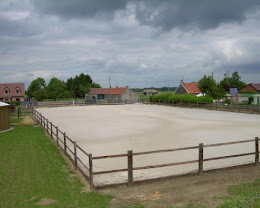 Écurie des Bruyères : box et paddocks, pension pour chevaux à Bruille-Saint-Amand - Photo 6 sur 6