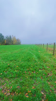 Écurie des Bruyères : box et paddocks, pension pour chevaux à Bruille-Saint-Amand - Photo 2 sur 6