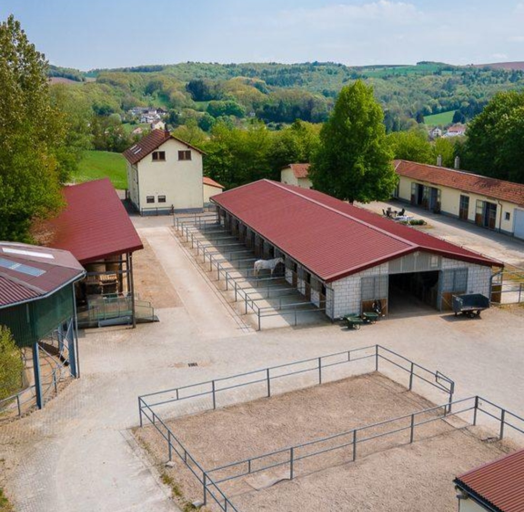 Birkenhof Steinoelsa : box et paddocks, pension pour chevaux à Steinölsa - Photo 2 sur 2