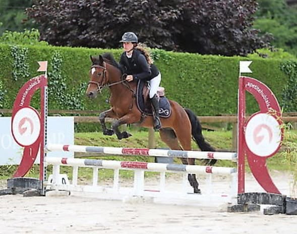 Écurie Poney-Club du Soleil : box et paddocks, pension pour chevaux à Ploërmel - Photo 3 sur 3