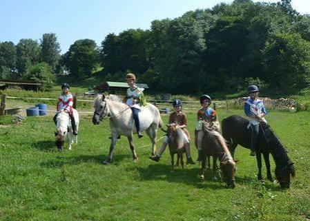Centre equestre du Lonval : box et paddocks, pension pour chevaux à Bonneuil-en-Valois - Photo 2 sur 4