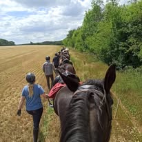 Ecurie Terre d'équilibre : box et paddocks, pension pour chevaux à Ahuy - Photo 5 sur 6
