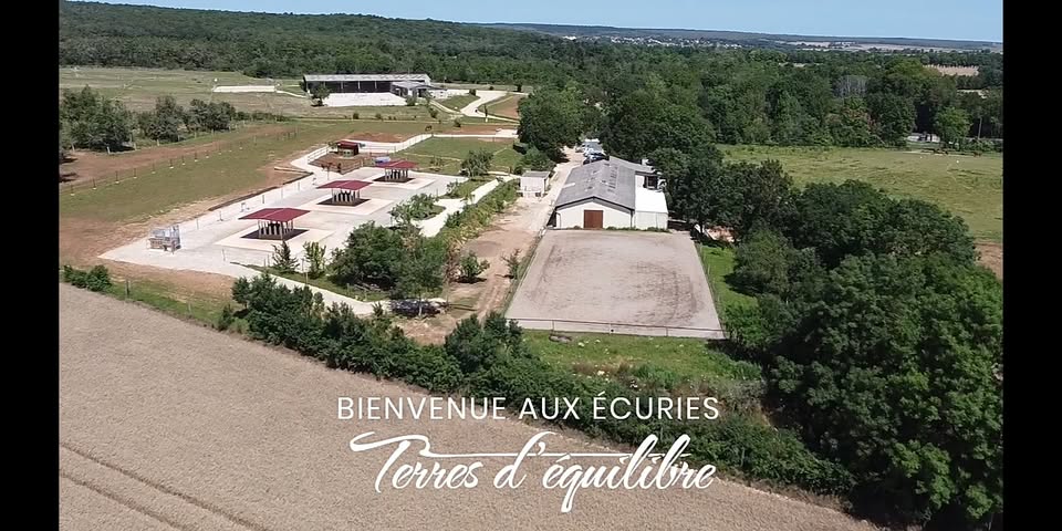 Ecurie Terre d'équilibre : box et paddocks, pension pour chevaux à Ahuy - Photo 1 sur 6