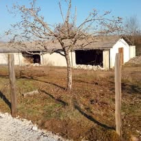 Ecurie Terre d'équilibre : box et paddocks, pension pour chevaux à Ahuy - Photo 2 sur 6