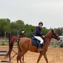 Rebelle Equestrian Club : box et paddocks, pension pour chevaux à Fouchana - Photo 6 sur 6