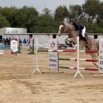 Rebelle Equestrian Club : box et paddocks, pension pour chevaux à Fouchana - Photo 3 sur 6
