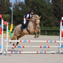 Centre Équestre du Capricorne : box et paddocks, pension pour chevaux à Varennes - Photo 4 sur 6