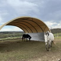 Centre Équestre du Capricorne : box et paddocks, pension pour chevaux à Varennes - Photo 3 sur 6