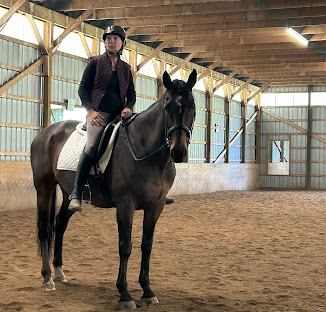 Evamar Farms Equestrian Centre : box et paddocks, pension pour chevaux à Lakefield - Photo 4 sur 6