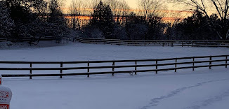 Evamar Farms Equestrian Centre : box et paddocks, pension pour chevaux à Lakefield - Photo 5 sur 6
