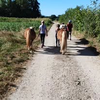 Les Écuries d'Aoste : box et paddocks, pension pour chevaux à Aoste - Photo 5 sur 5