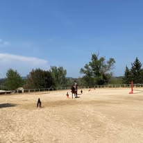 Centre Équestre La Cavale : box et paddocks, pension pour chevaux à Roquebrune-sur-Argens - Photo 2 sur 5