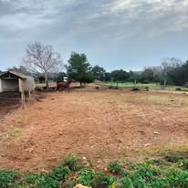 Centre Équestre La Cavale : box et paddocks, pension pour chevaux à Roquebrune-sur-Argens - Photo 3 sur 5