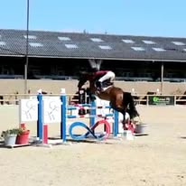 La Gadaille : box et paddocks, pension pour chevaux à Incourt - Photo 2 sur 5