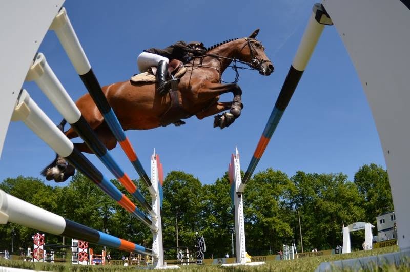 La Gadaille : box et paddocks, pension pour chevaux à Incourt - Photo 1 sur 5