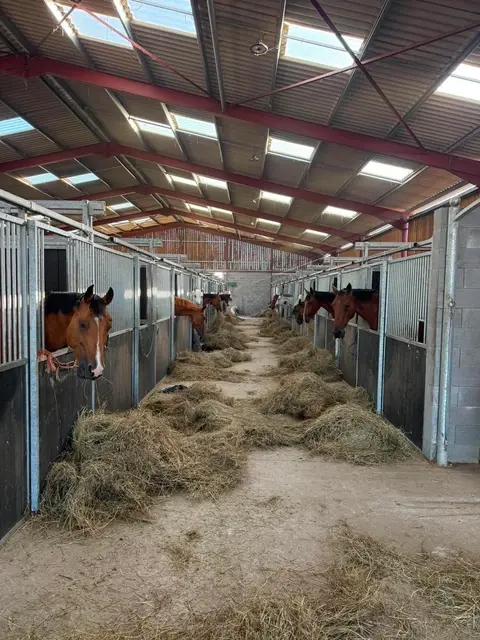Les Ecuries du Cocq : box et paddocks, pension pour chevaux à Hon-Hergies - Photo 4 sur 4