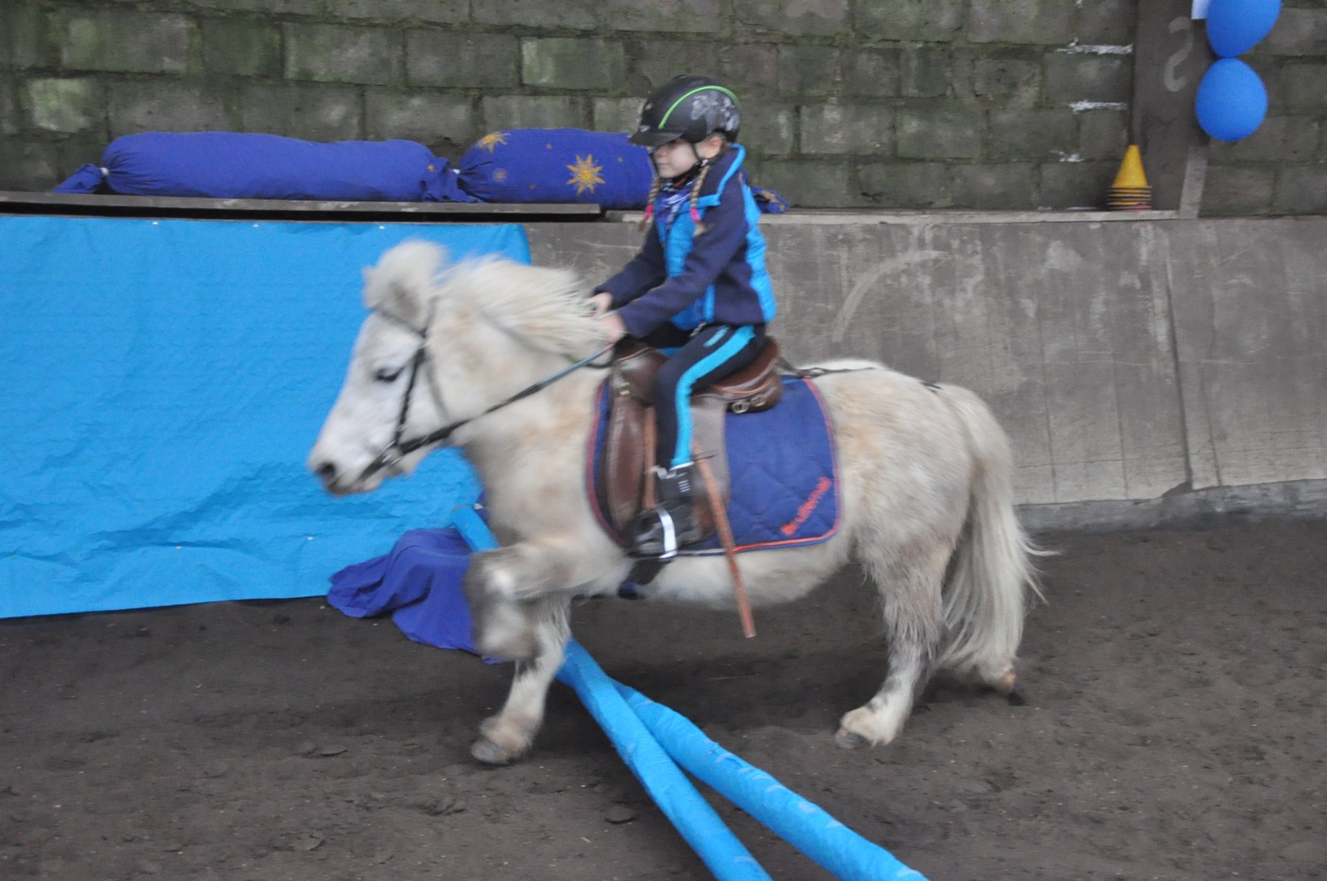 Centre Équestre du Cheval Bleu : box et paddocks, pension pour chevaux à Bellengreville - Photo 1 sur 4