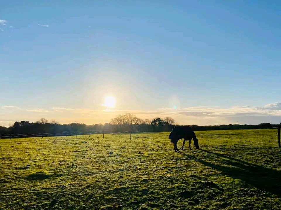 Écuries de Lezevry : box et paddocks, pension pour chevaux à Plouhinec - Photo 2 sur 4