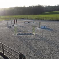 Écuries de Bouville : box et paddocks, pension pour chevaux à Bouville - Photo 4 sur 4