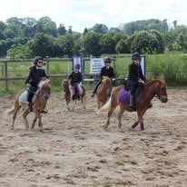 Écuries de Bouville : box et paddocks, pension pour chevaux à Bouville - Photo 2 sur 4