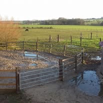 Écuries de Bouville : box et paddocks, pension pour chevaux à Bouville - Photo 3 sur 4
