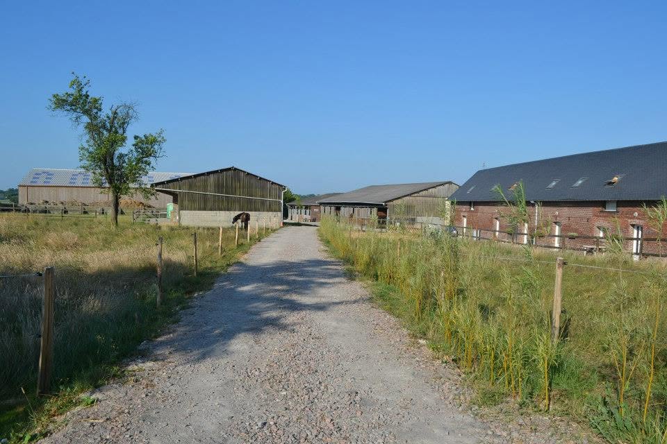 Écuries de Bouville : box et paddocks, pension pour chevaux à Bouville - Photo 1 sur 4
