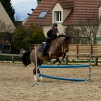Écurie de Galluis : box et paddocks, pension pour chevaux à Galluis - Photo 4 sur 5