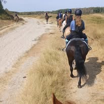 LES ECURIES DE BARISIS AUX BOIS : box et paddocks, pension pour chevaux à Barisis-aux-Bois - Photo 5 sur 6