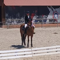 LES ECURIES DE BARISIS AUX BOIS : box et paddocks, pension pour chevaux à Barisis-aux-Bois - Photo 2 sur 6