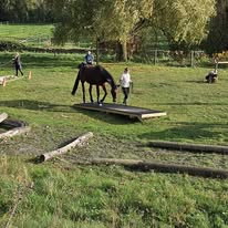 Les Ecuries de la Noue: stalls and paddocks, horse boarding in Sablonnières - Photo 3 of 5