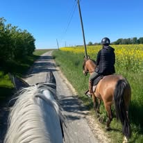 Les Ecuries de la Noue: stalls and paddocks, horse boarding in Sablonnières - Photo 5 of 5